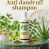 Anti Dandruff Shampoo