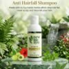 Anti Hair Fall Shampoo